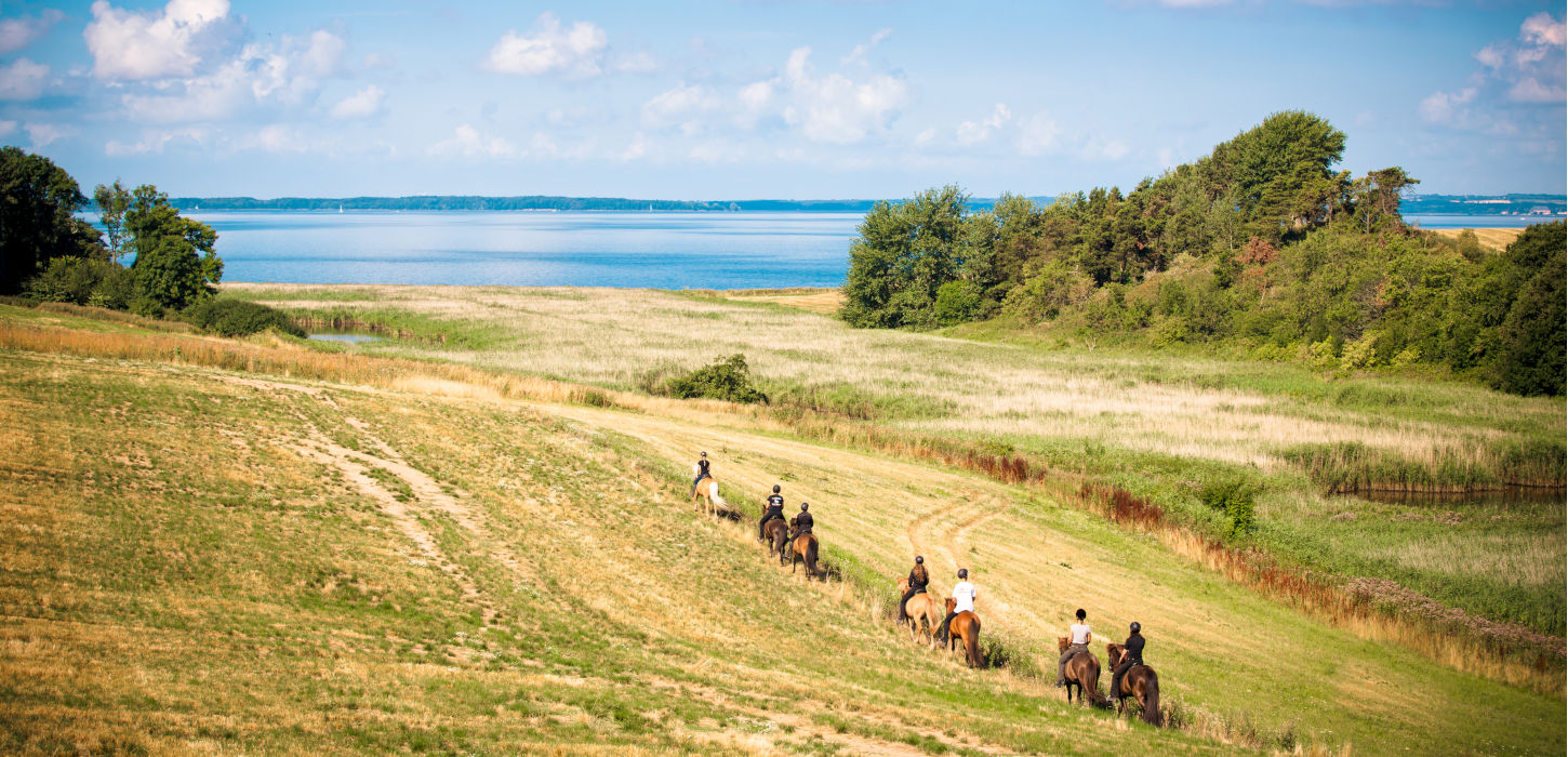 Hesteleje | Sydfyn | Midtfyn | Riderute Sydfyn