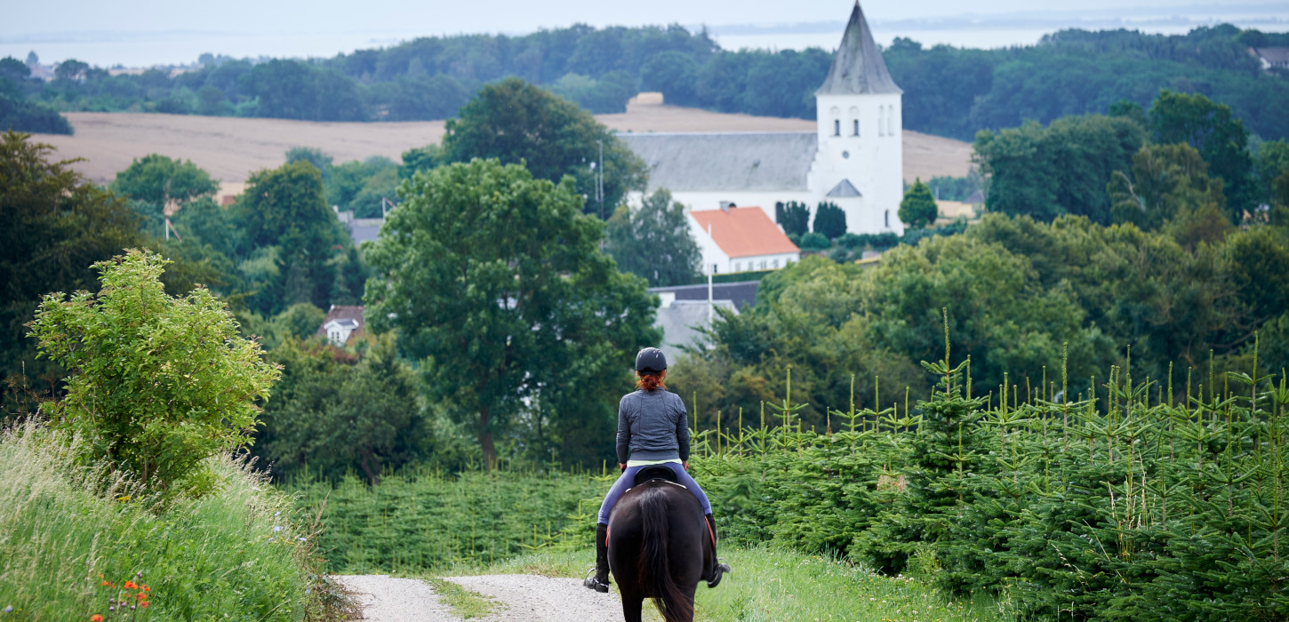 Høhoteller | Rideferie | Overnatning | Hø | Riderute | Sydfyn