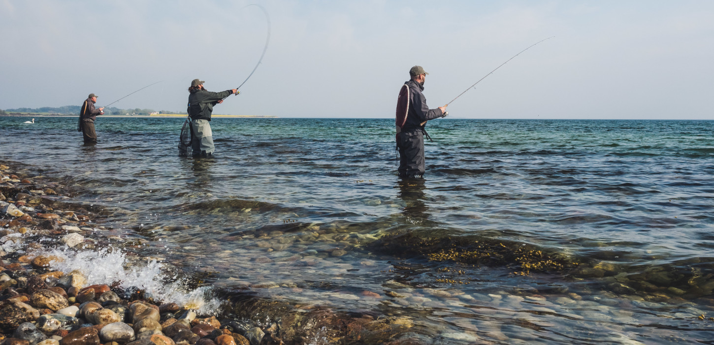 Lystfiskeri på Avernakø