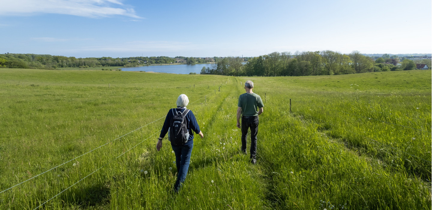 Hiking holiday in Denmark