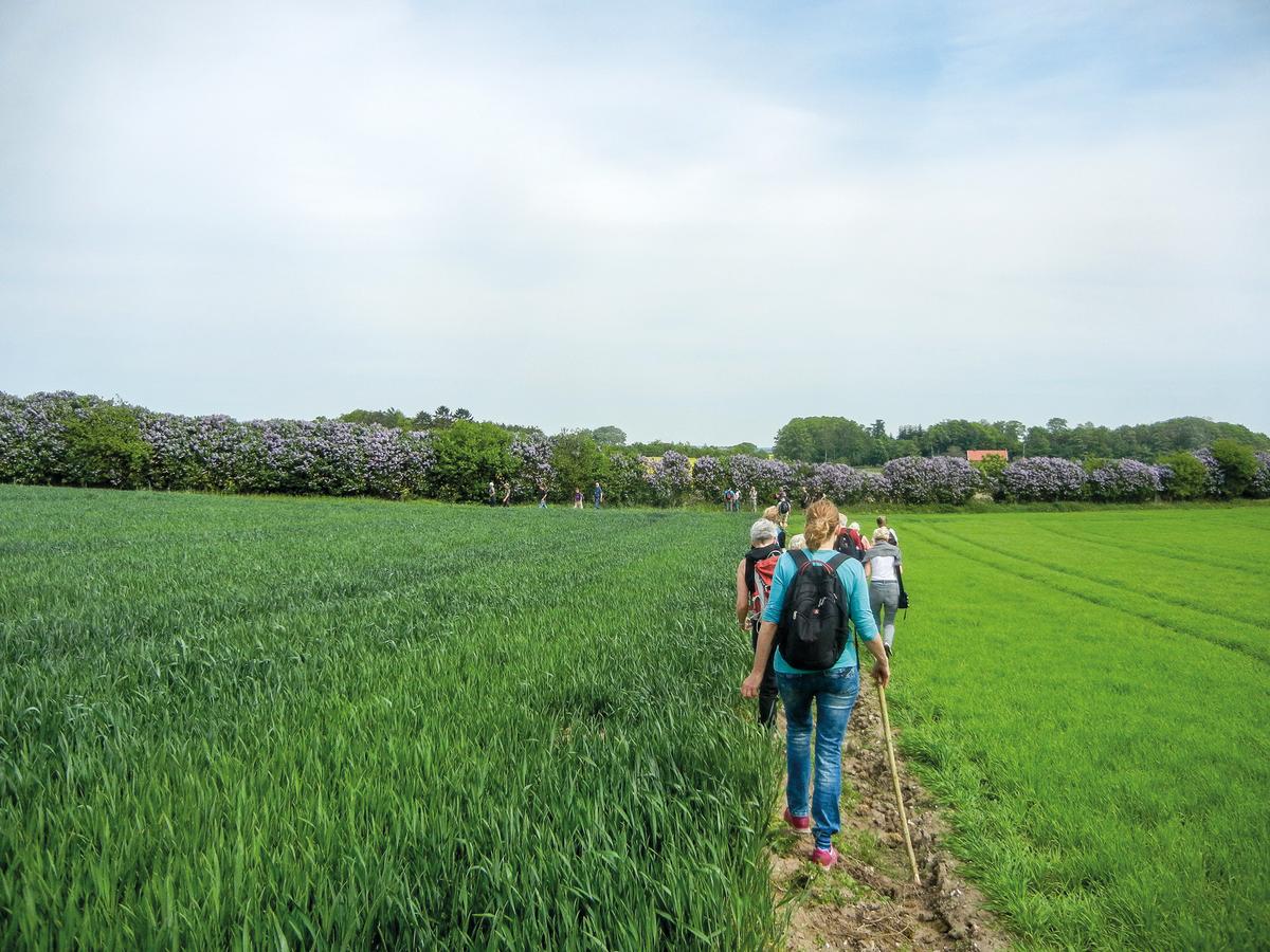 Wandern im Land des Flieders