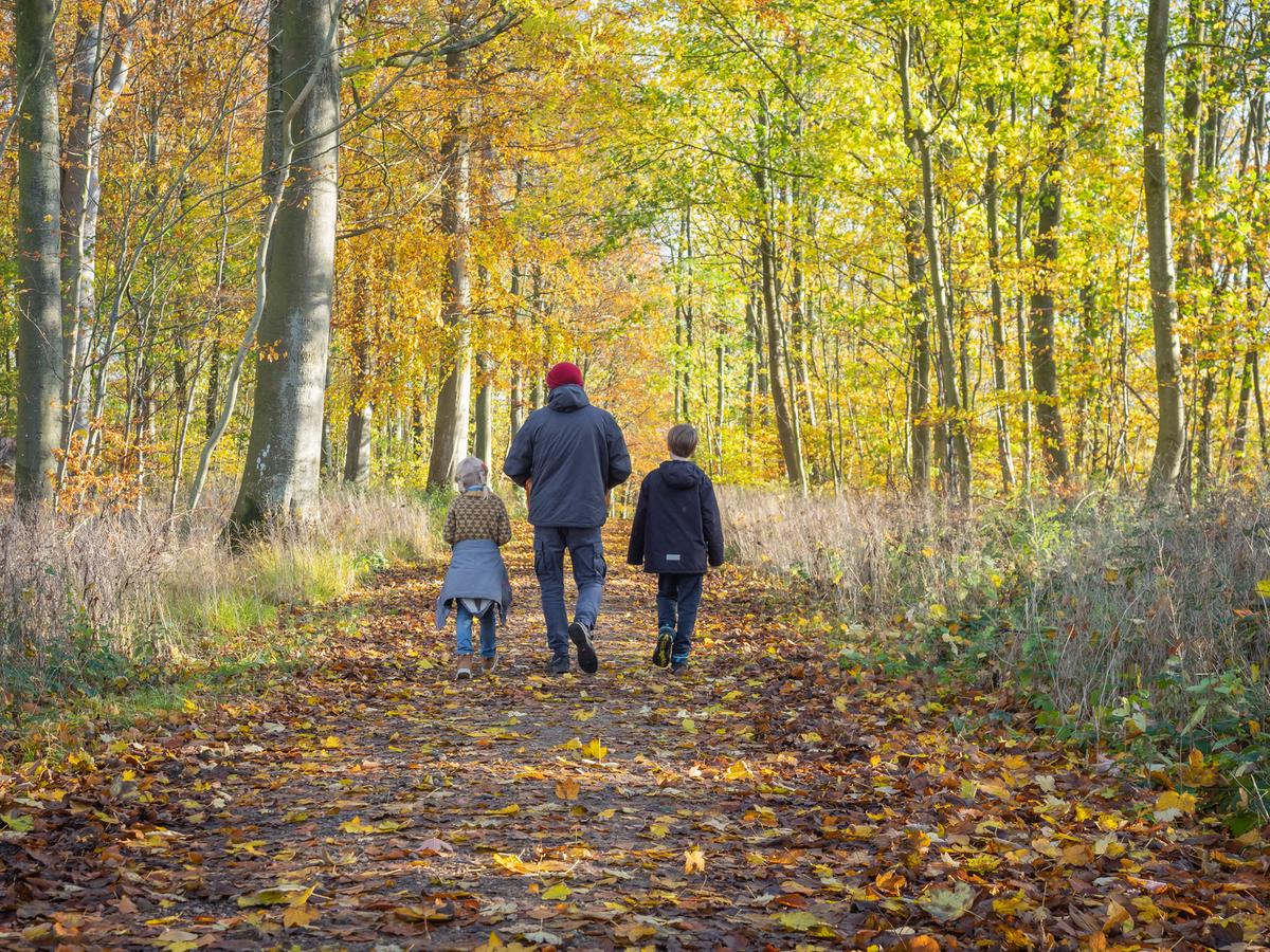 Familie der går i en skov
