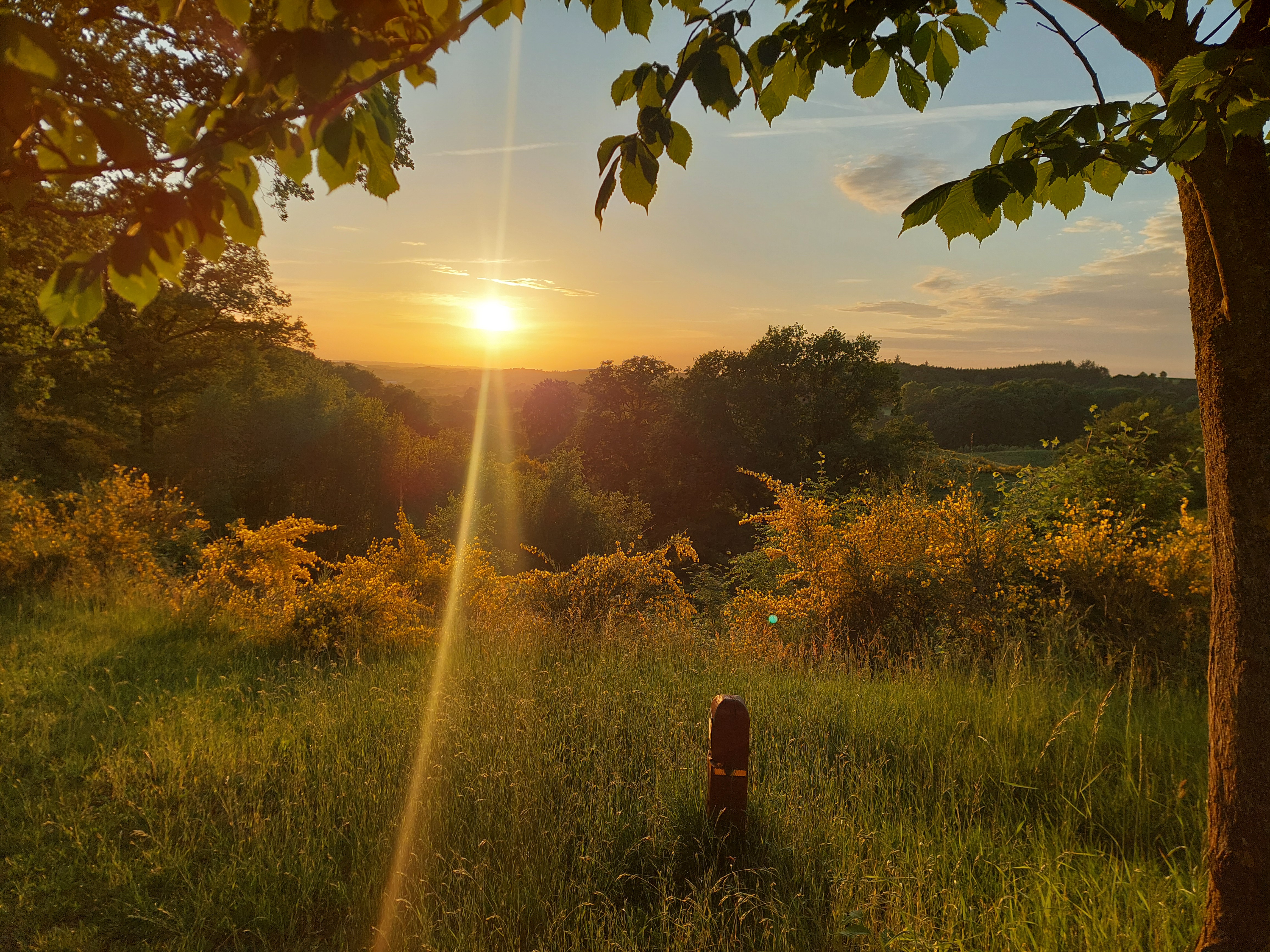 Solnedgang over Svanninge Bakker