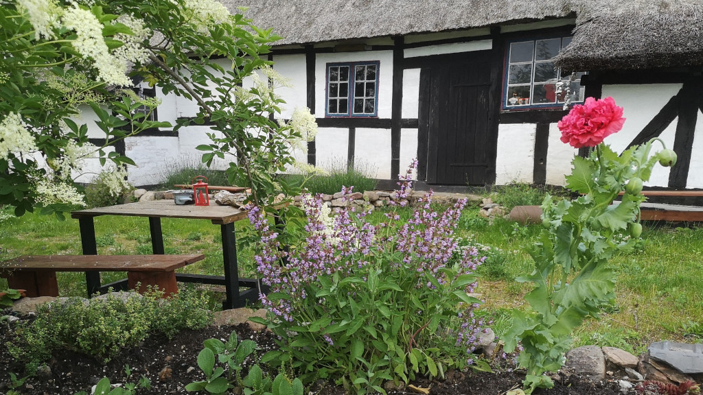 Haven ved B&B Den Gamle Krarup Skole