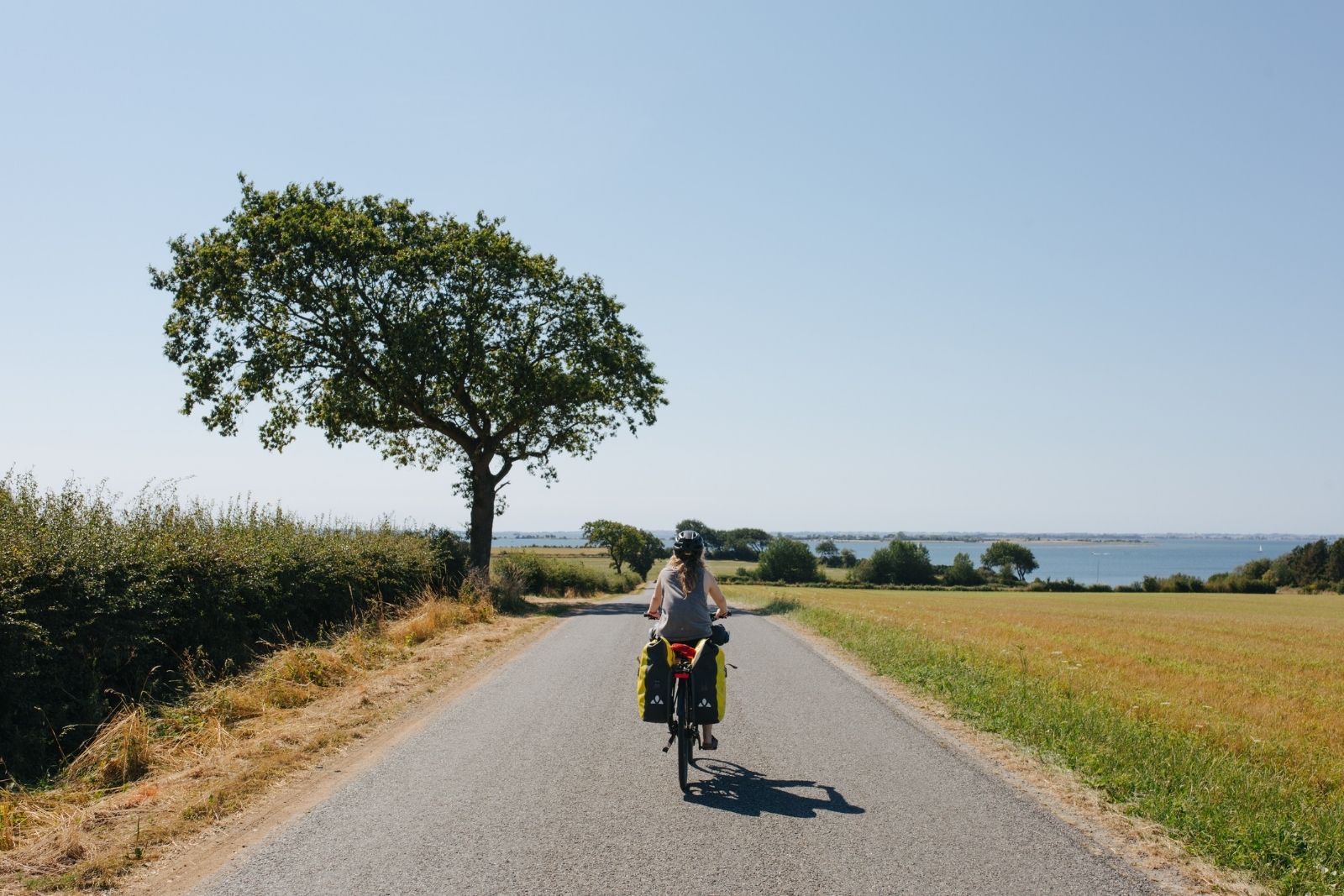 Person cykler langs Østersøruten ved Faaborg