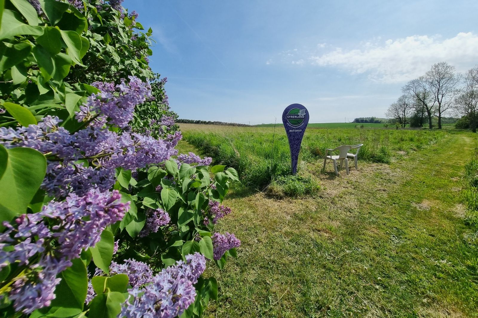 Syren hotspot 2 ved Sandhold-Lyndelse omkring Faaborg