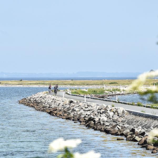 Avernakø og øhavet på cykel