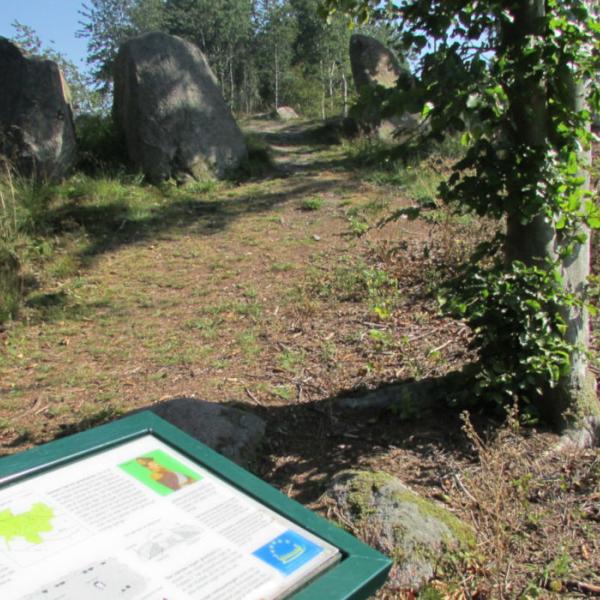 Gravplads Pipstorn Skov