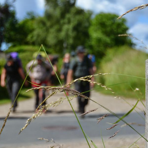 Hiking holiday in Denmark | The Archipelago Trail