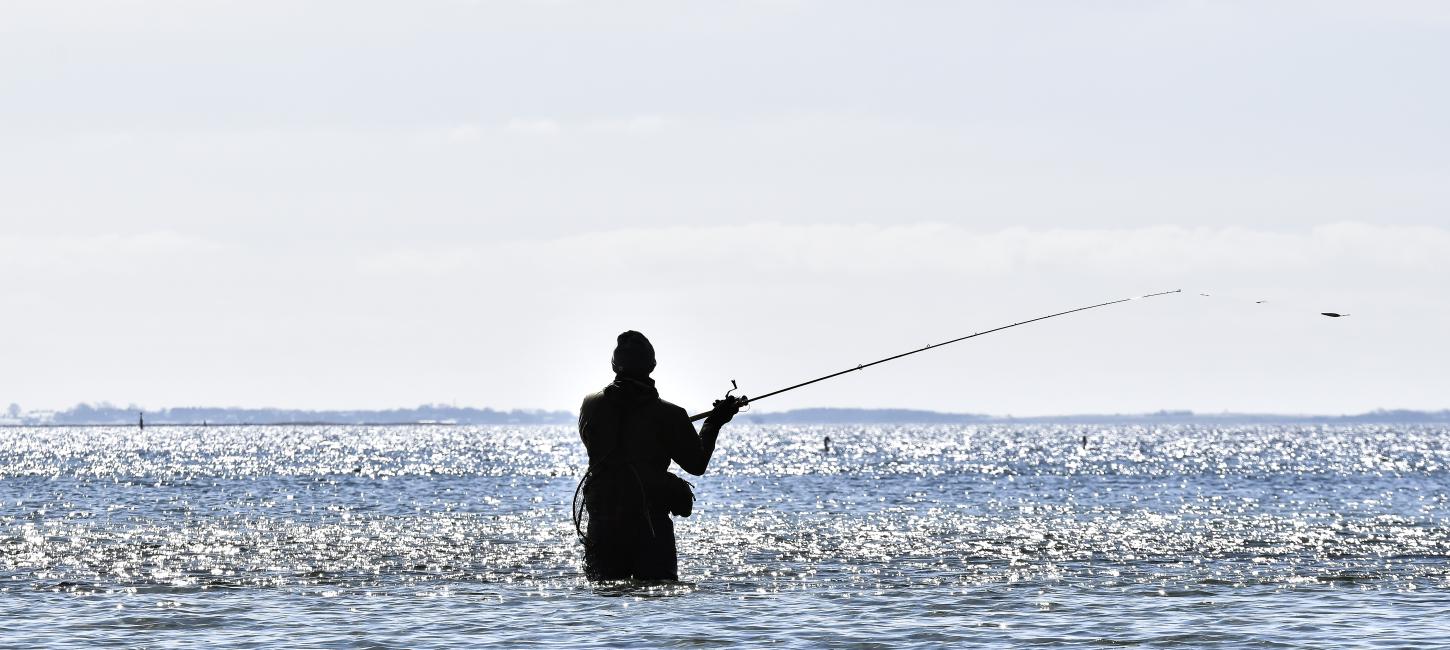 Angler at Dyreborg in the spring