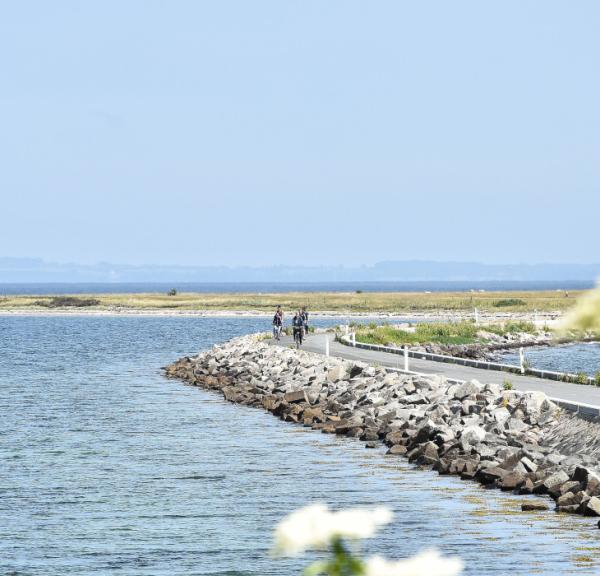 The Østersø route | Vacation by bike | MTB | Bike rental | Bike routes