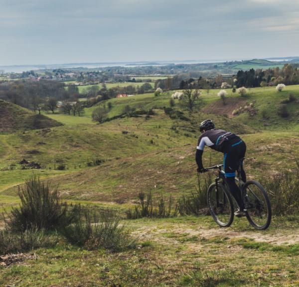 MTB | Track | Mountainbike | Svanninge | Pipstorn | Ringe | Ibjerg | Tracks