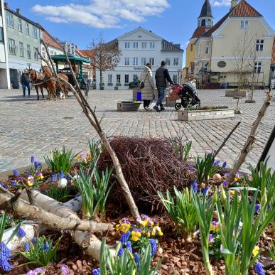 Spring flowers in the square