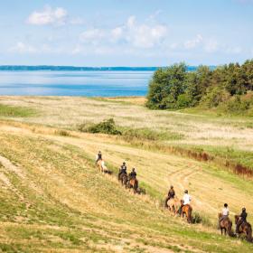 Hesteleje | Sydfyn | Midtfyn | Riderute Sydfyn