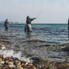 Three men are standing and fishing by the sea