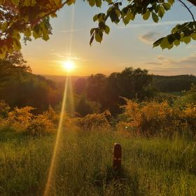 Solnedgang over Svanninge Bakker