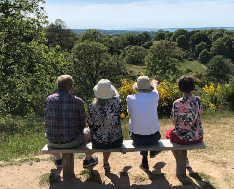 Svanninge Hills | Hiking in the South of the Island og Funen Denmark | VisitFaaborg