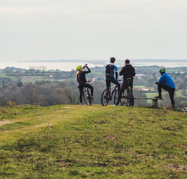 Mountainbike i Svanninge Bakker